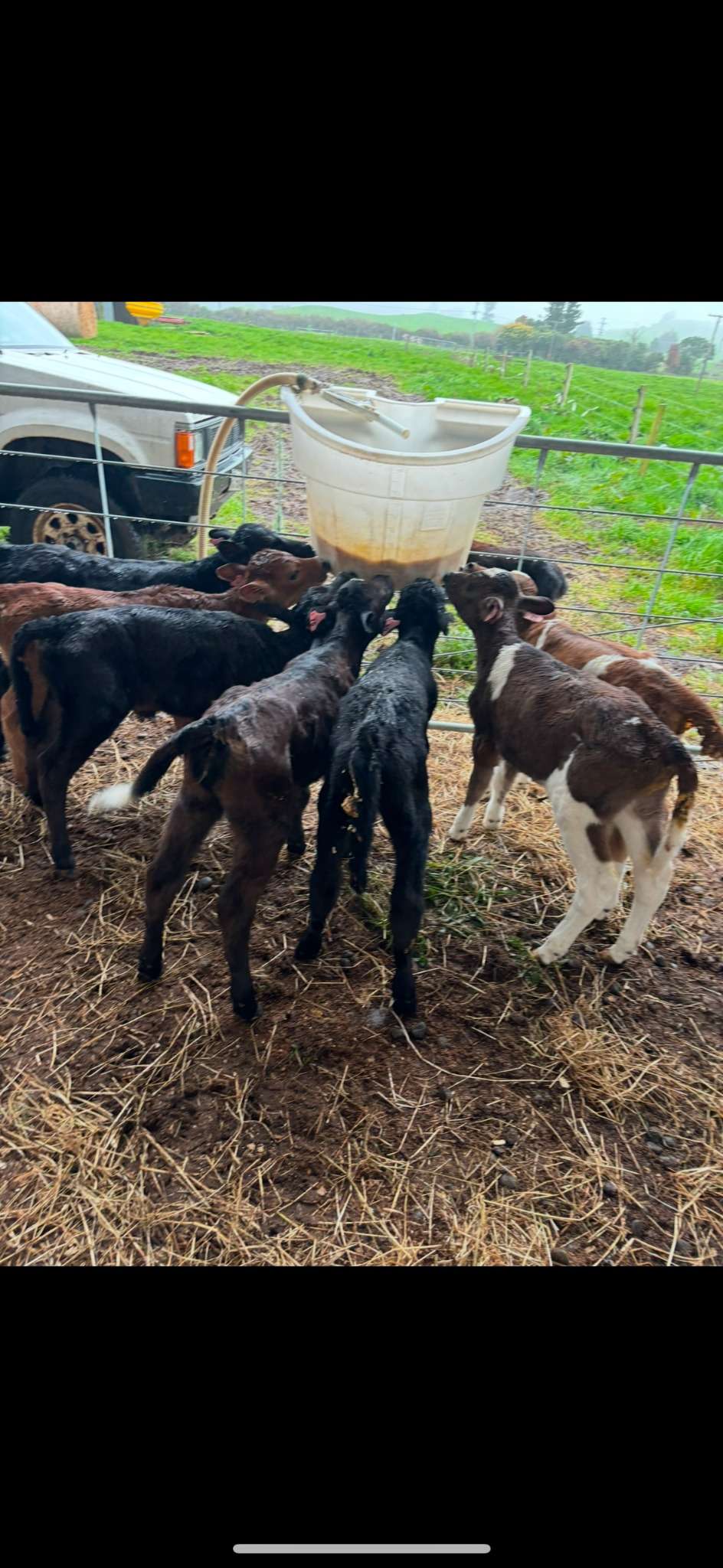 Ag Assist - Leila Benton