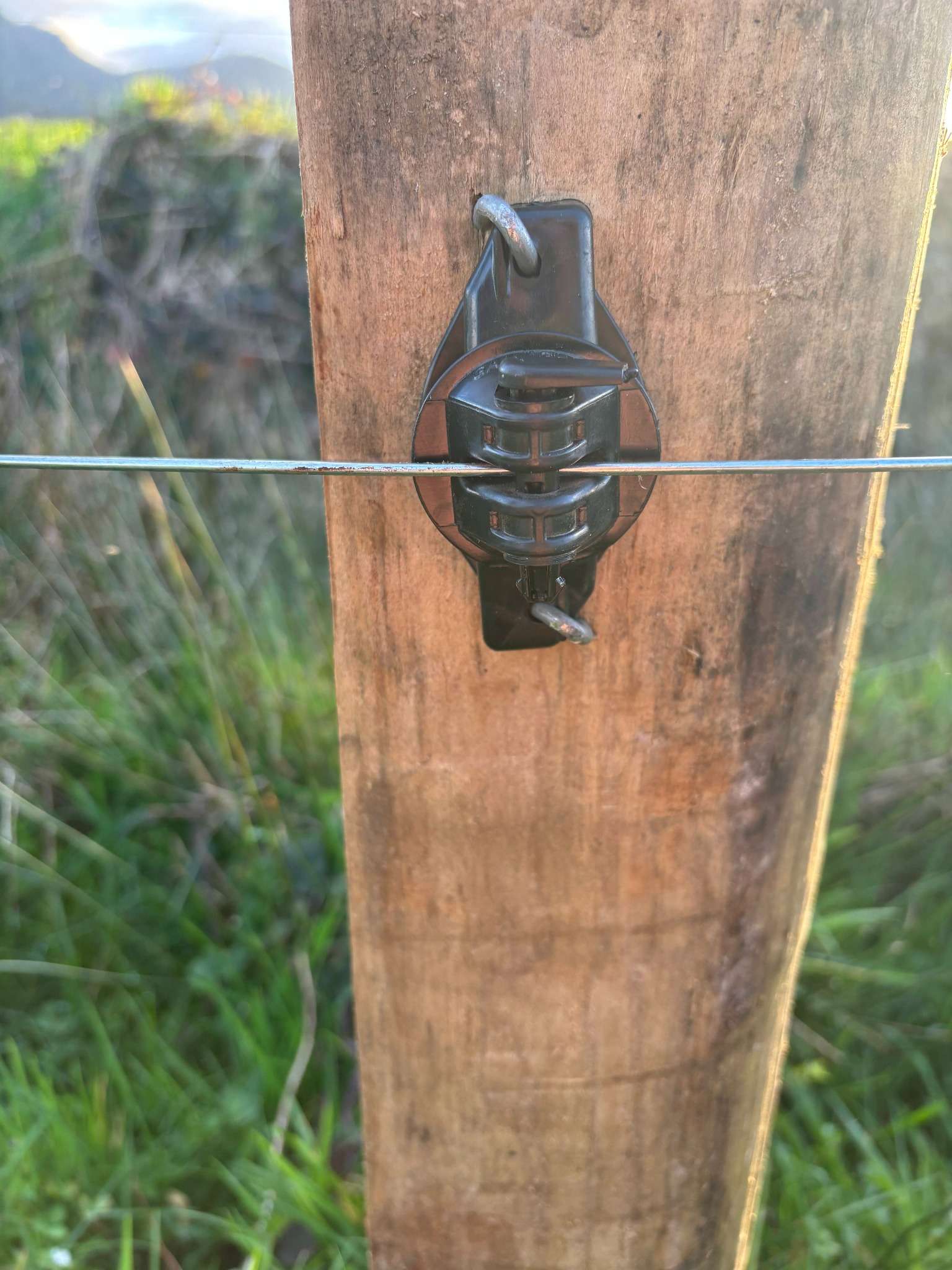 Ag Assist - Leila Benton