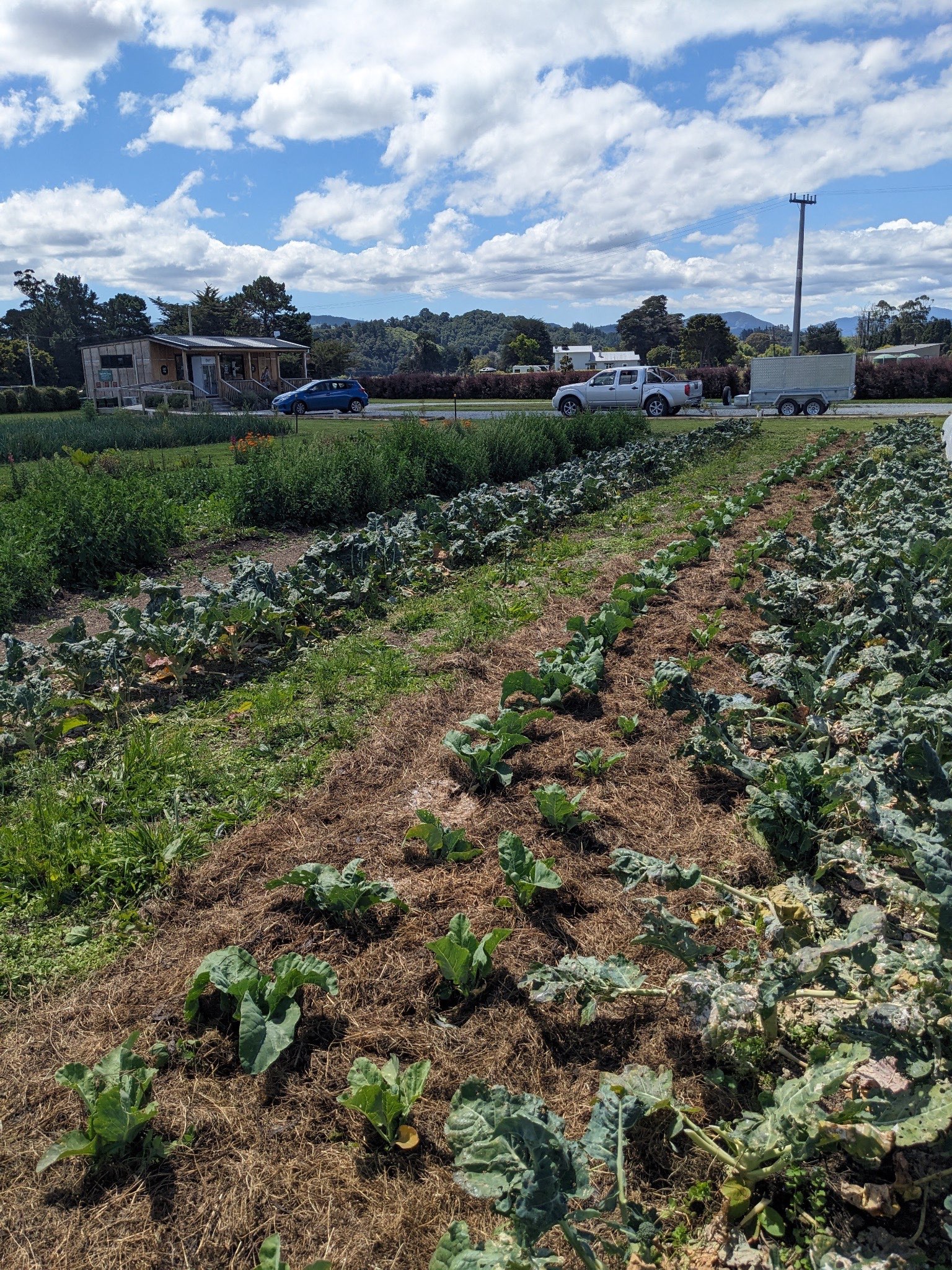 Ag Assist - Leif Eckle