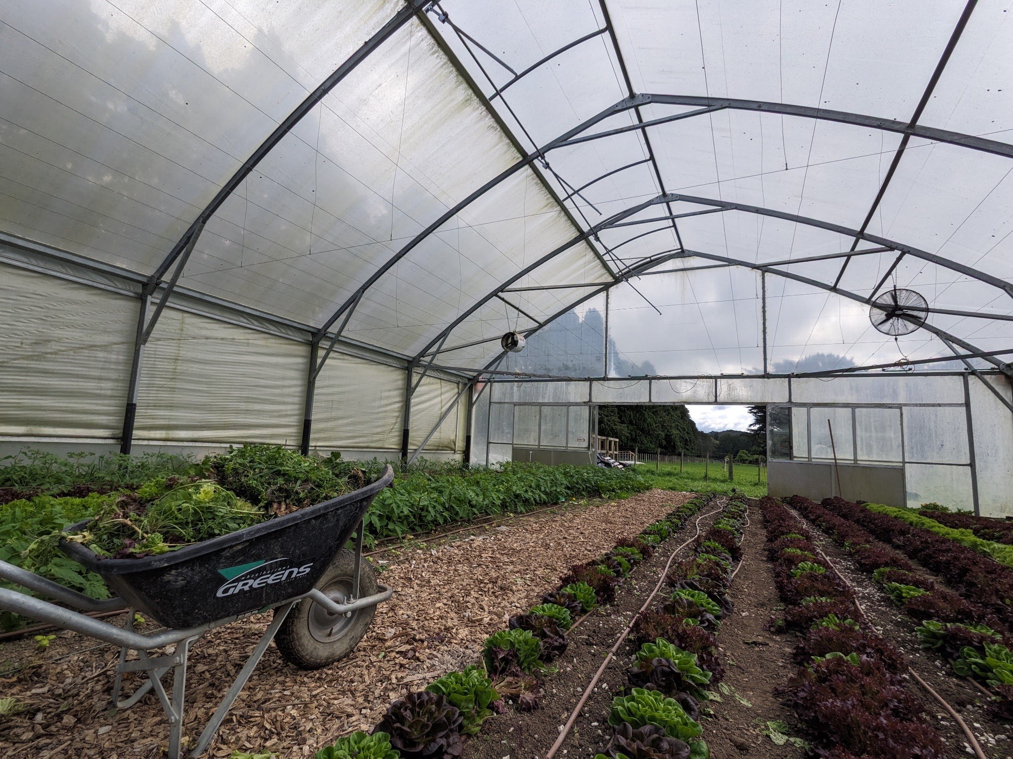 Ag Assist - Leif Eckle