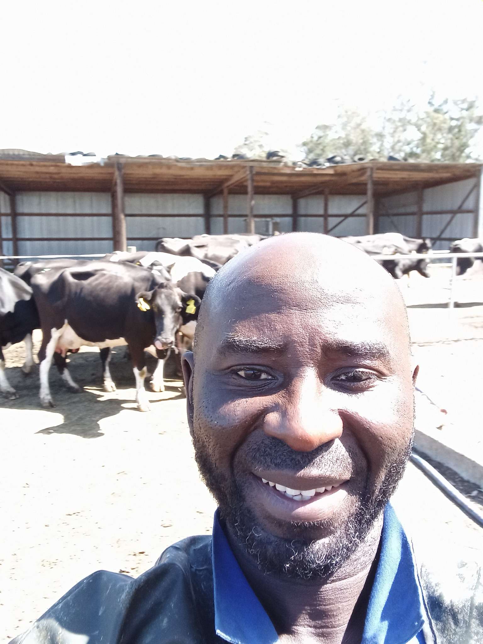 Ag Assist - ISHAKU LEMU HARUNA