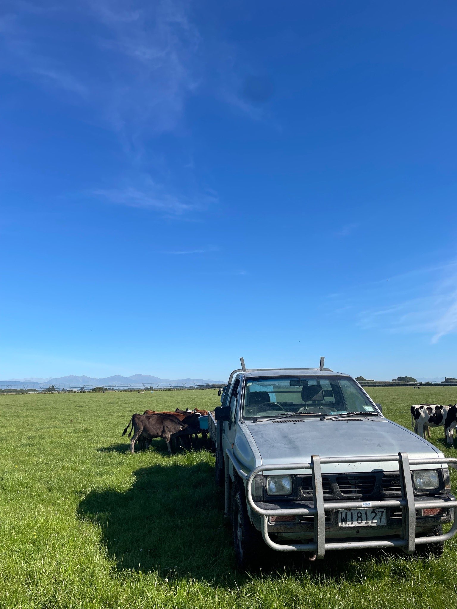 Ag Assist - Tom Matteucci