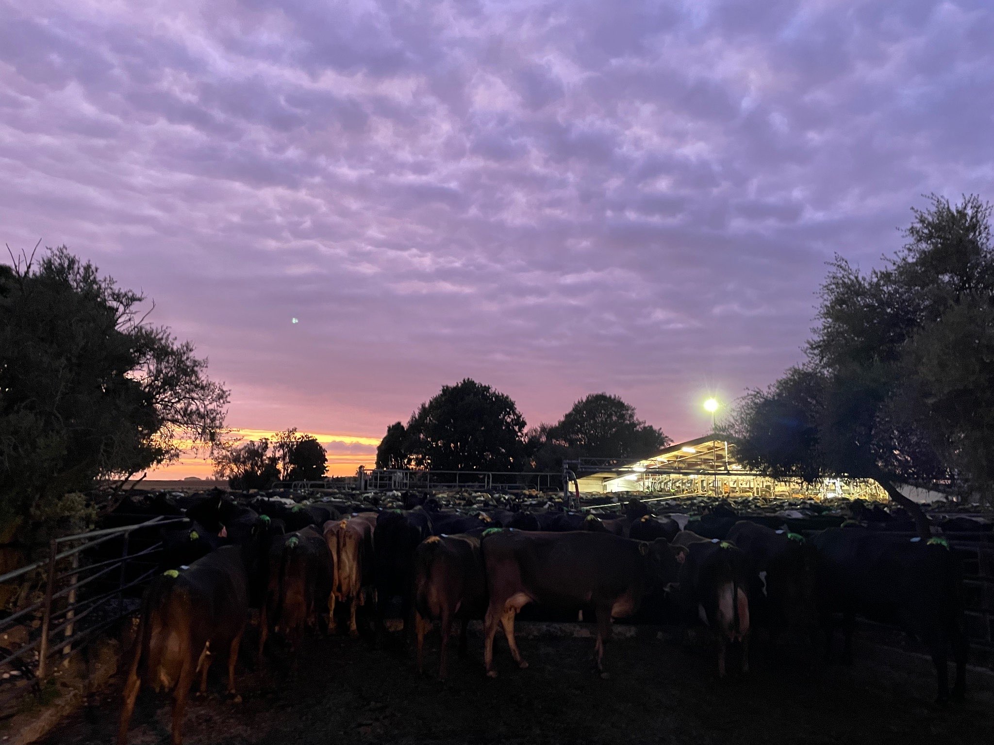 Ag Assist - Tom Matteucci