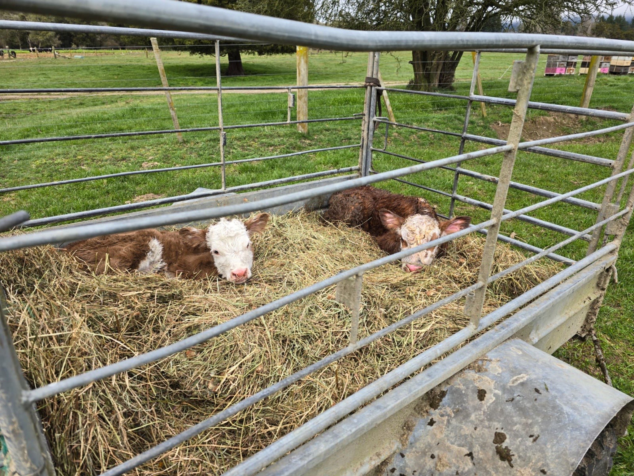 Ag Assist - Sai Samyuktha Sukumar