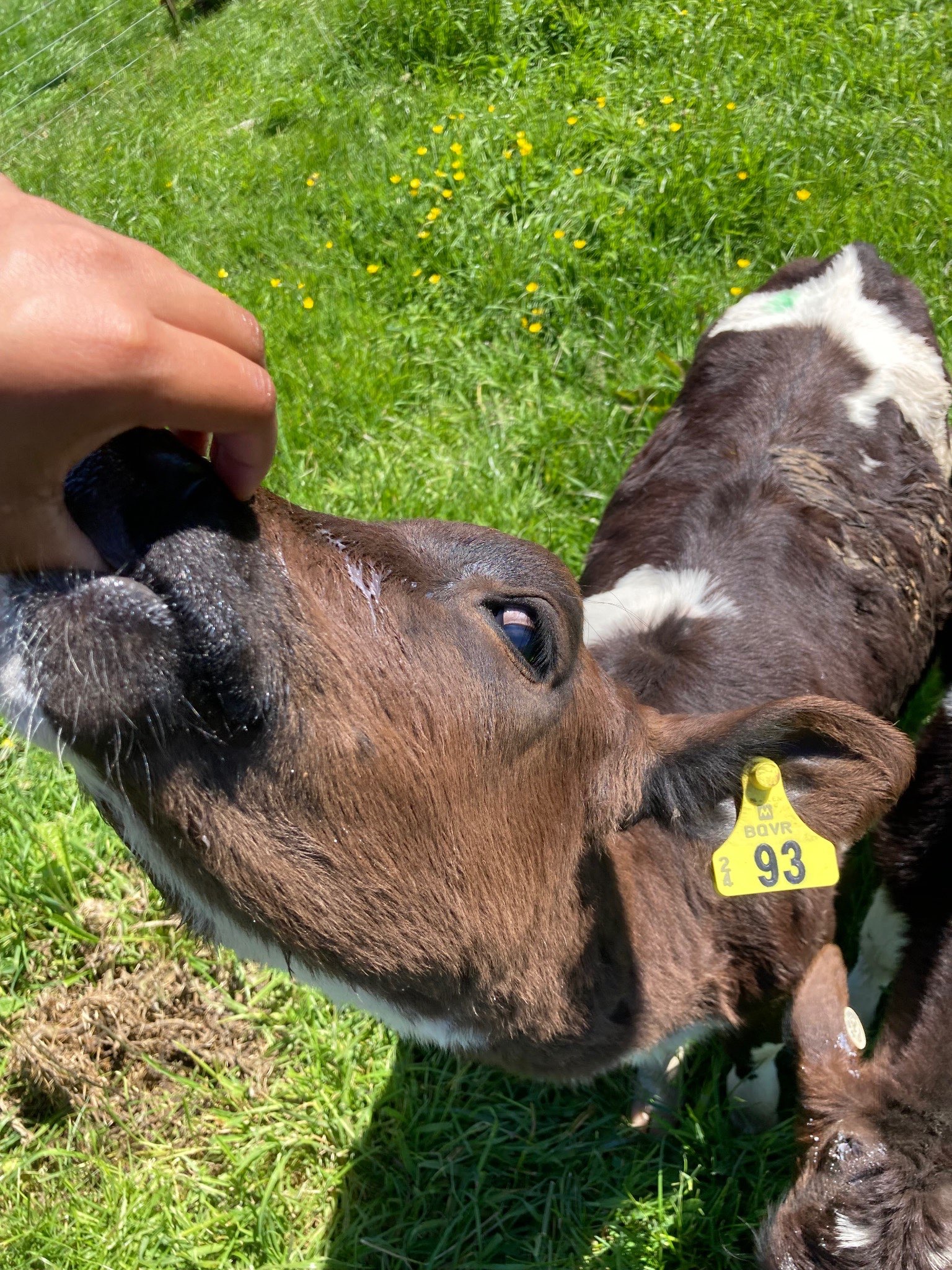 Ag Assist - Sai Samyuktha Sukumar