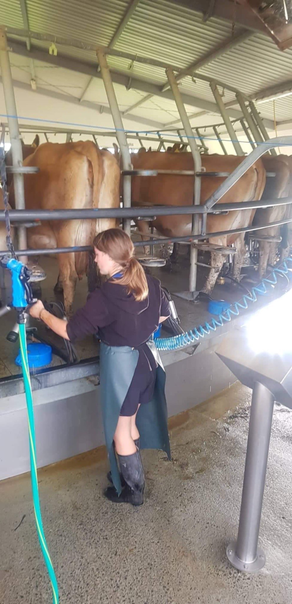 Ag Assist - Anna Stuart