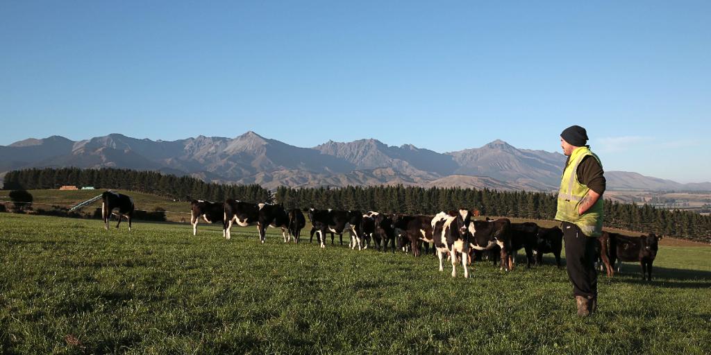 Ag Assist - Farm Assistant - Mt Prospect, Te Anau