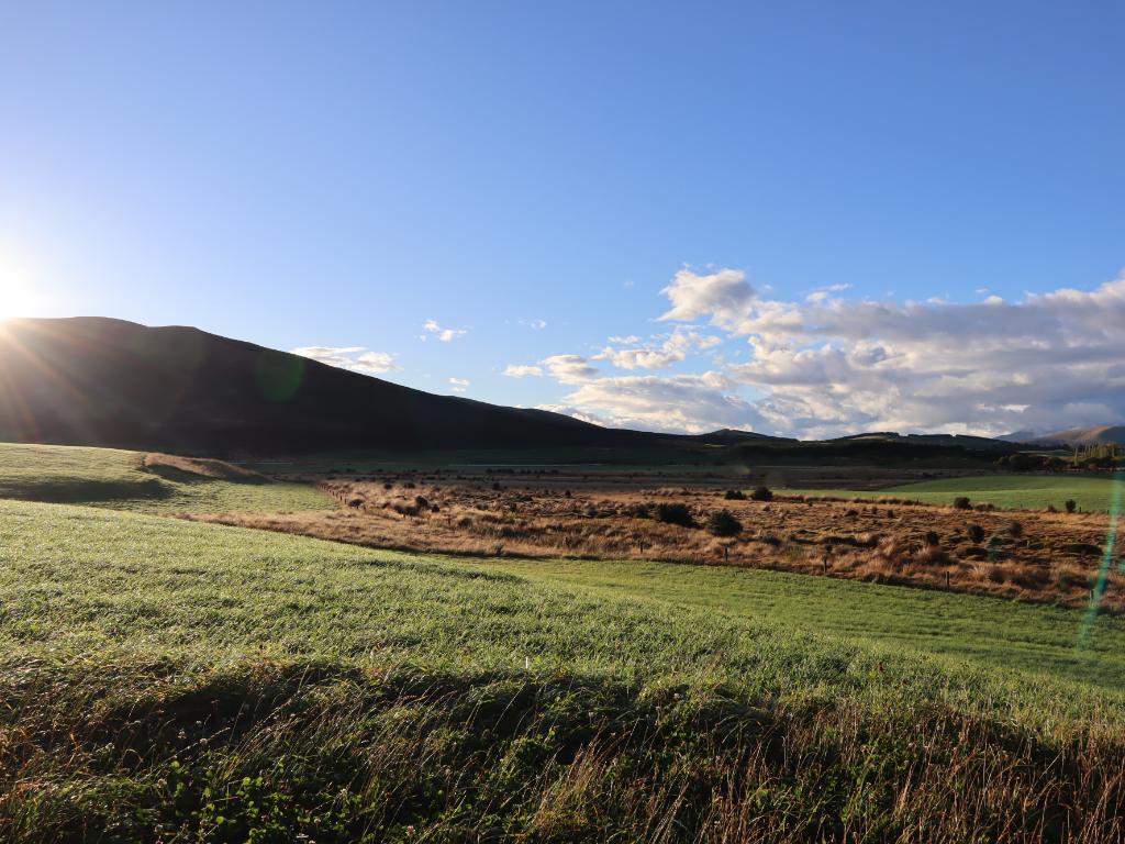 Farm Assistant - Mt Prospect, Te Anau