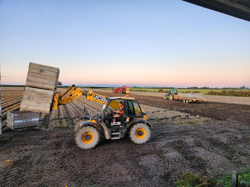 JCB/Telehandler Operator