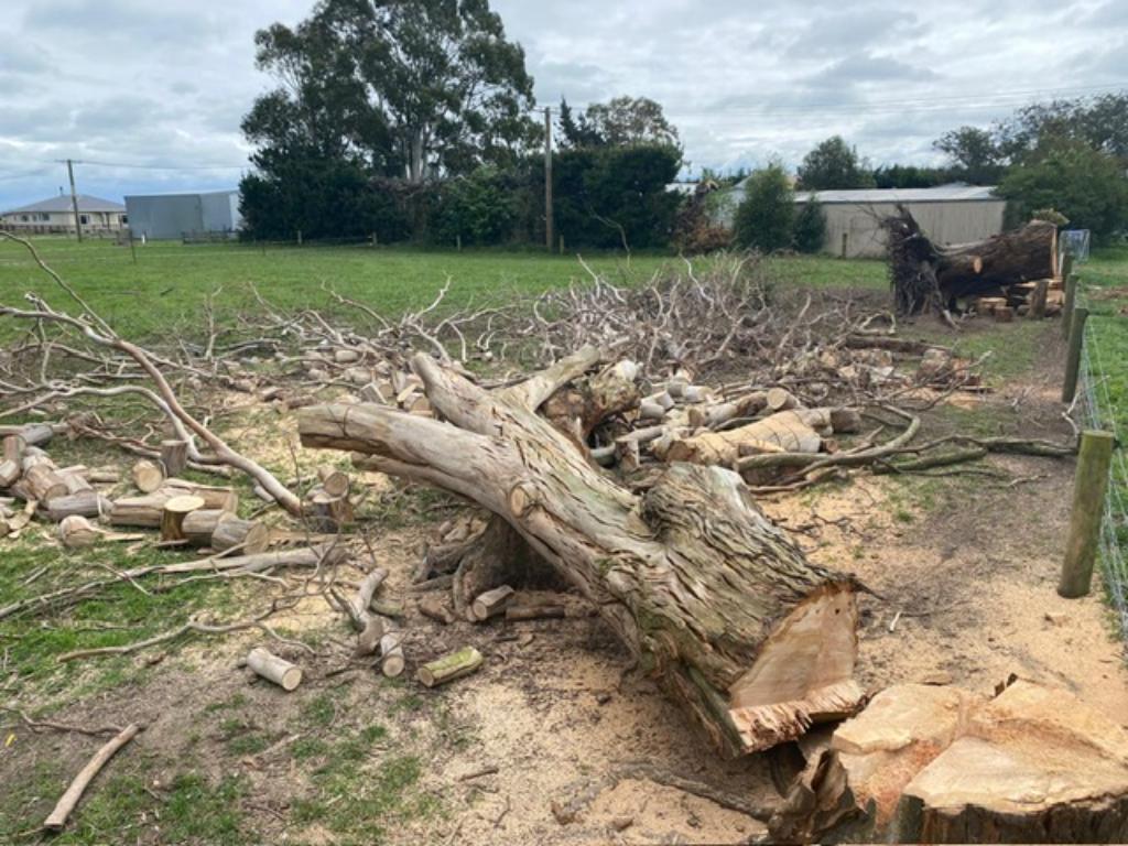 Ag Assist - Tony Hutchison