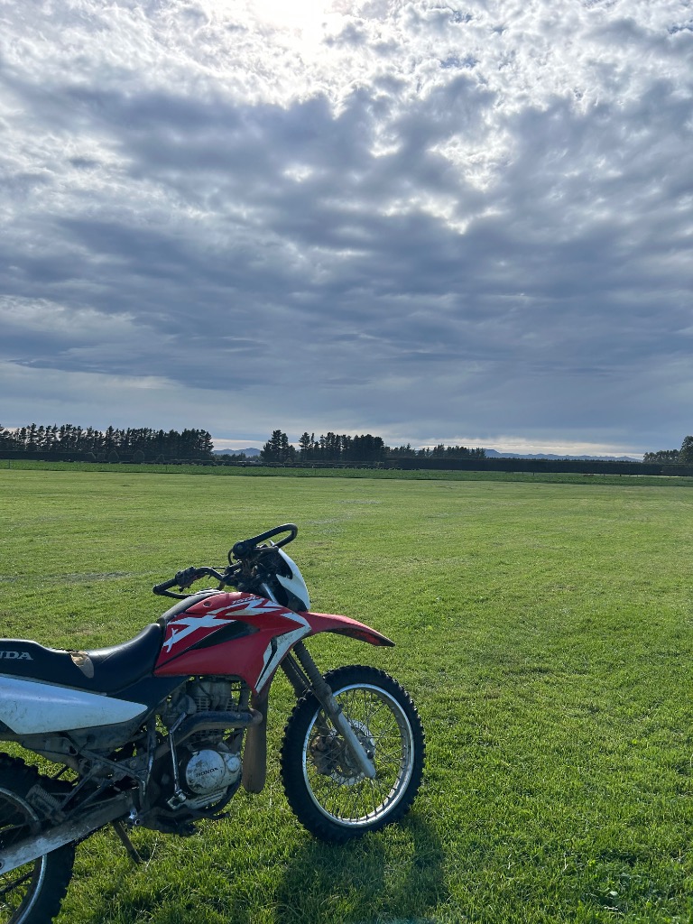 Ag Assist - Piper Wilson