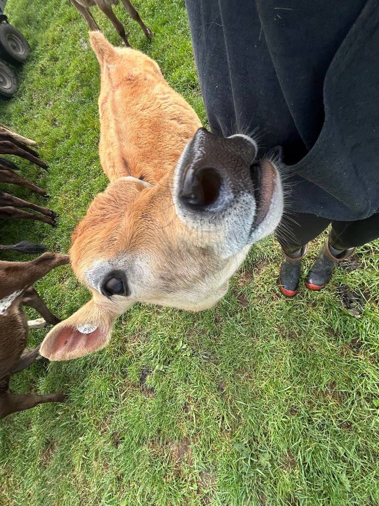 Ag Assist - Piper Wilson