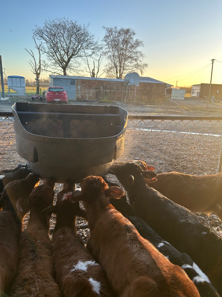 Ag Assist - Piper Wilson