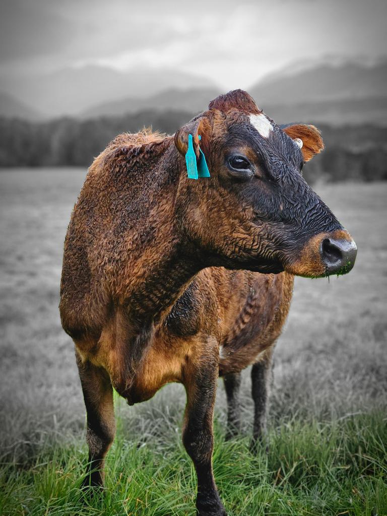 Ag Assist - Christopher Phair