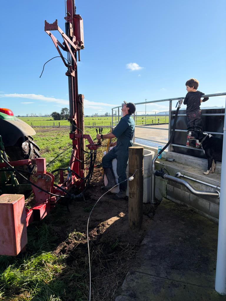 Ag Assist - Experienced Farm Assistant/Herd Manager
