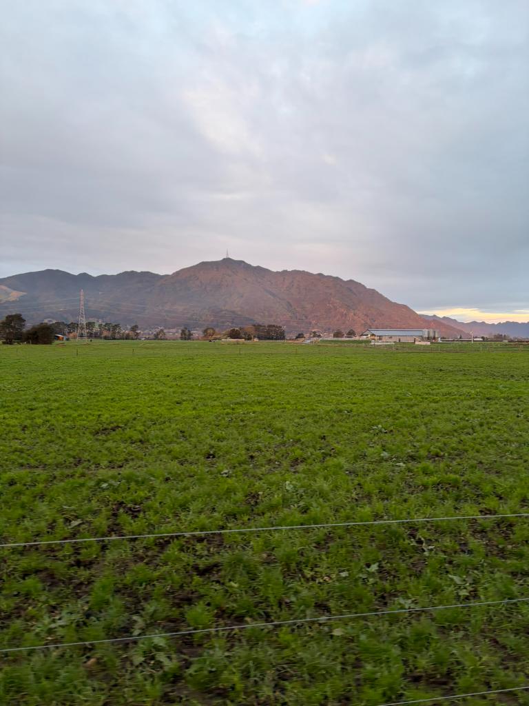 Experienced Farm Assistant/Herd Manager