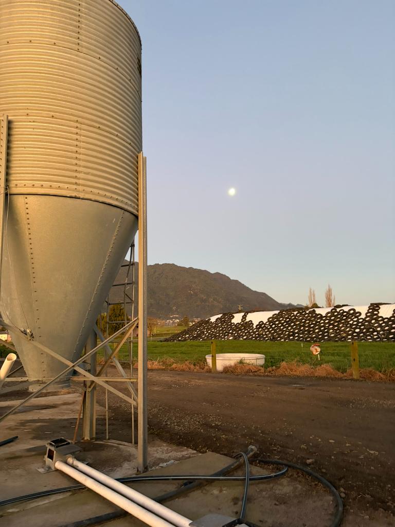 Ag Assist - Experienced Farm Assistant/Herd Manager