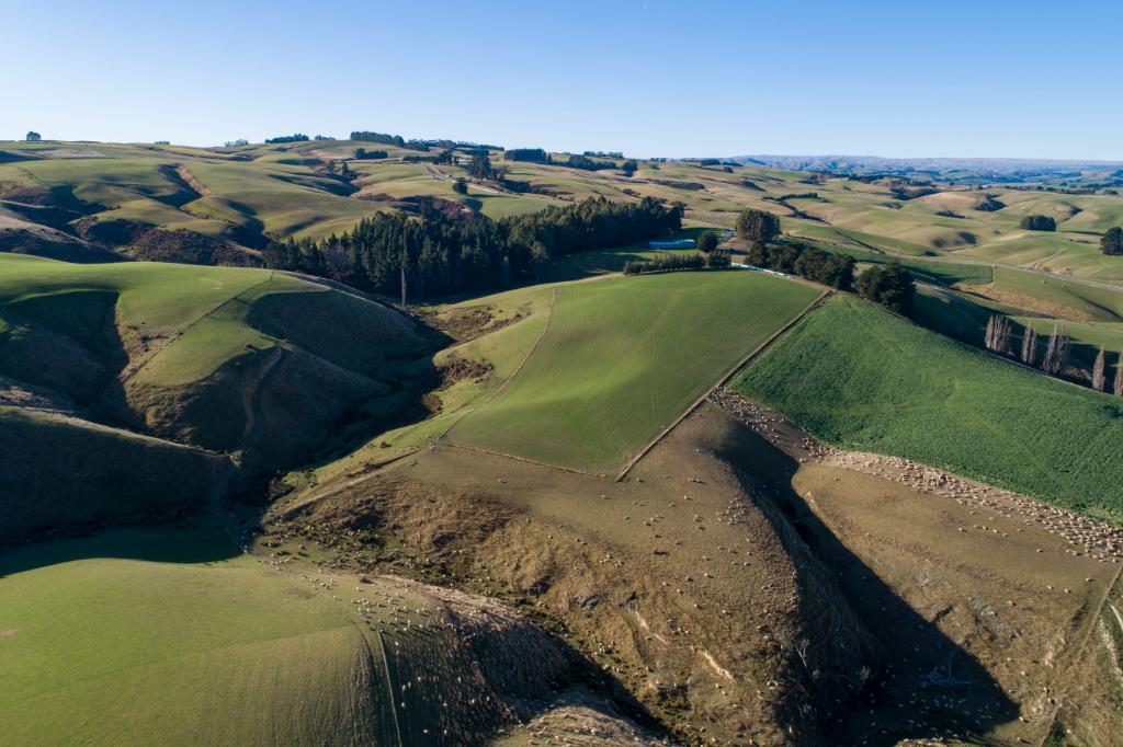 Ag Assist - Stock Manager Position