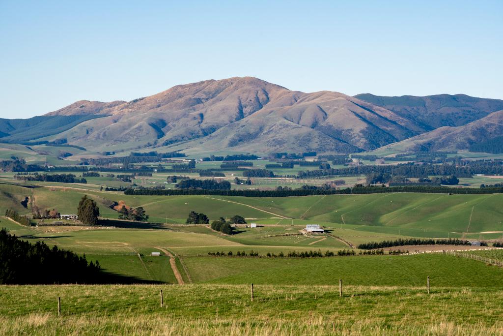 Stock Manager Position