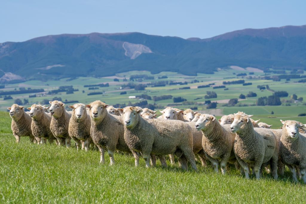 Ag Assist - Stock Manager Position