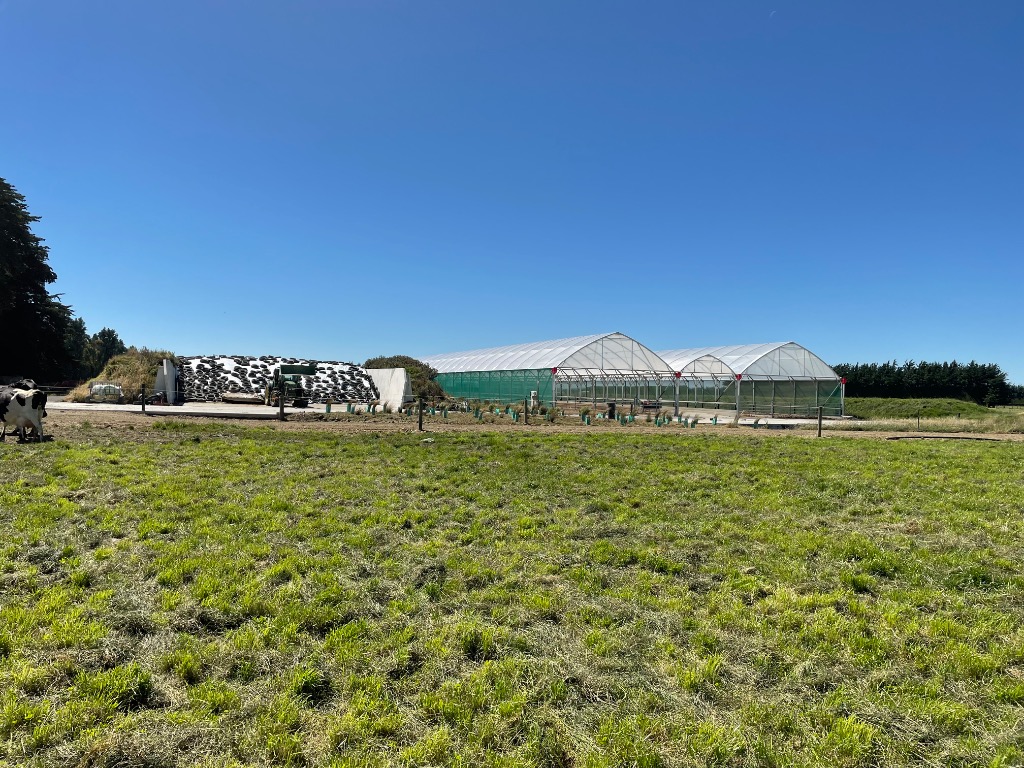 Ag Assist - FULL TIME DRIVE IN POSITION NEAR INVERCARGILL