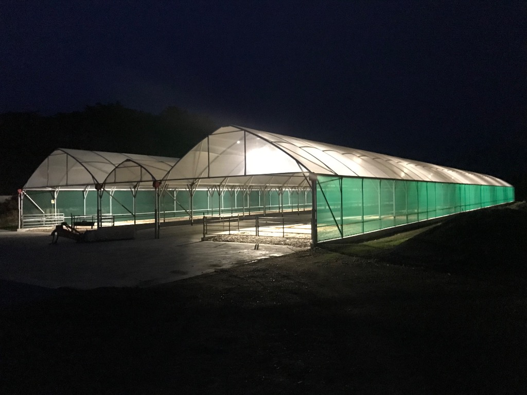 Ag Assist - FULL TIME DRIVE IN POSITION NEAR INVERCARGILL