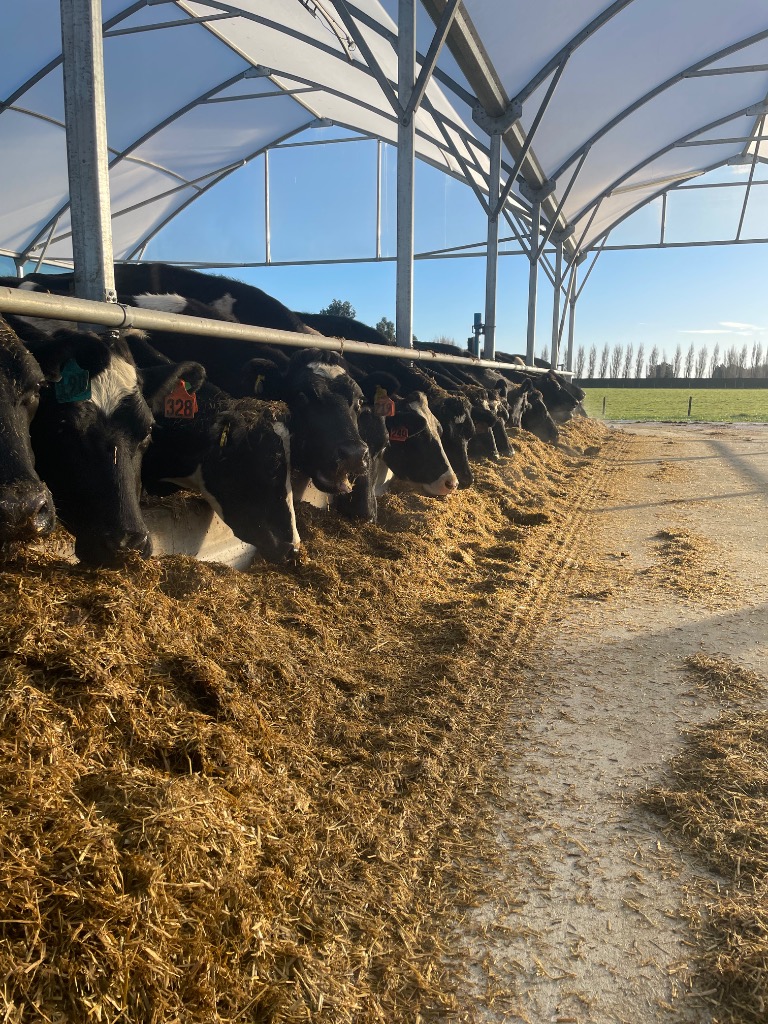 FULL TIME DRIVE IN POSITION NEAR INVERCARGILL