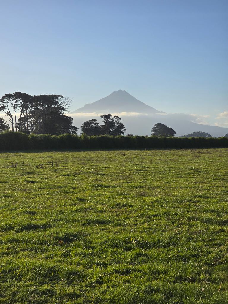 Spring Farm Assistant - Dairy Farm