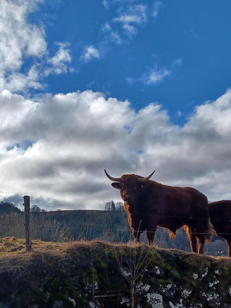 Ag Assist - Louis  Suc