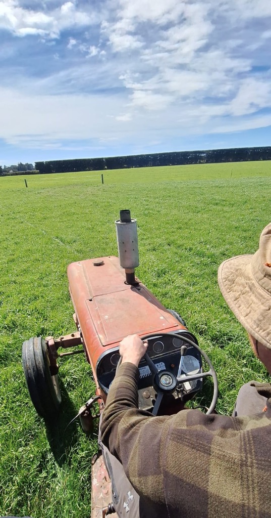 Ag Assist - Dry stock farm worker every second weekend with flexible hours