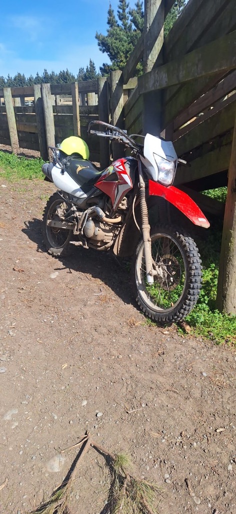 Ag Assist - Dry stock farm worker every second weekend with flexible hours