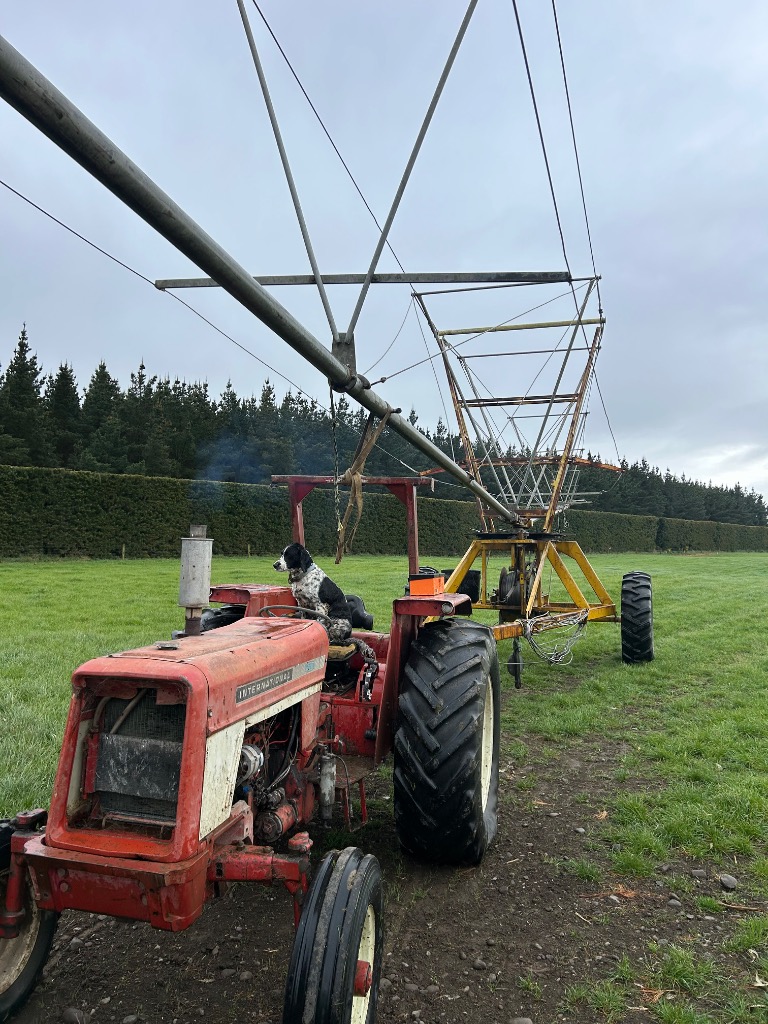 Ag Assist - Dry stock farm worker every second weekend with flexible hours