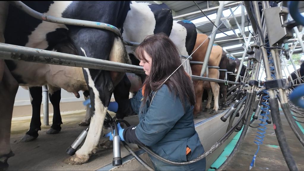 Ag Assist - Relief Milk Harvesters
