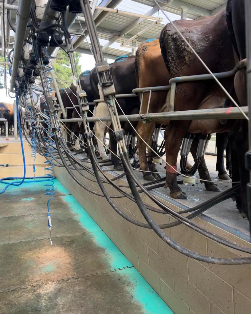 Ag Assist - Relief Milk Harvesters