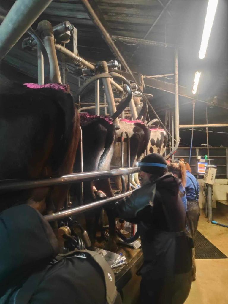 Ag Assist - Relief Milk Harvesters