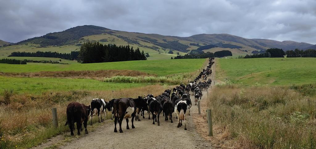 Ag Assist - Relief Milk Harvesters
