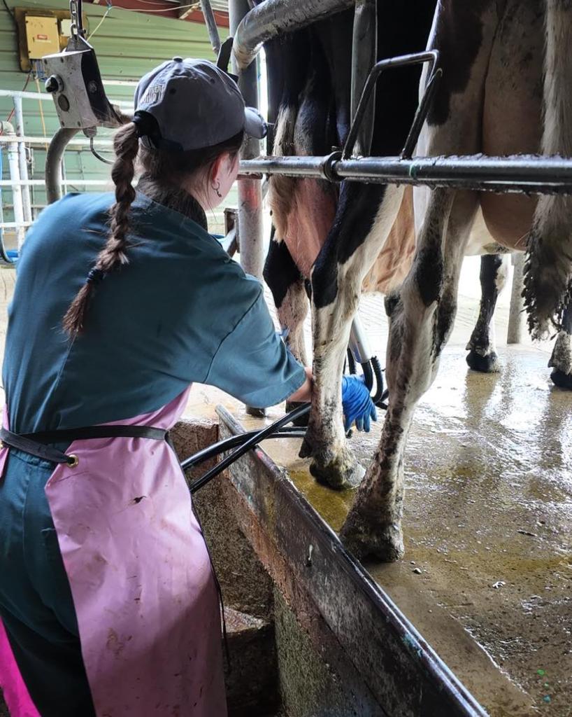 Ag Assist - Relief Milk Harvesters