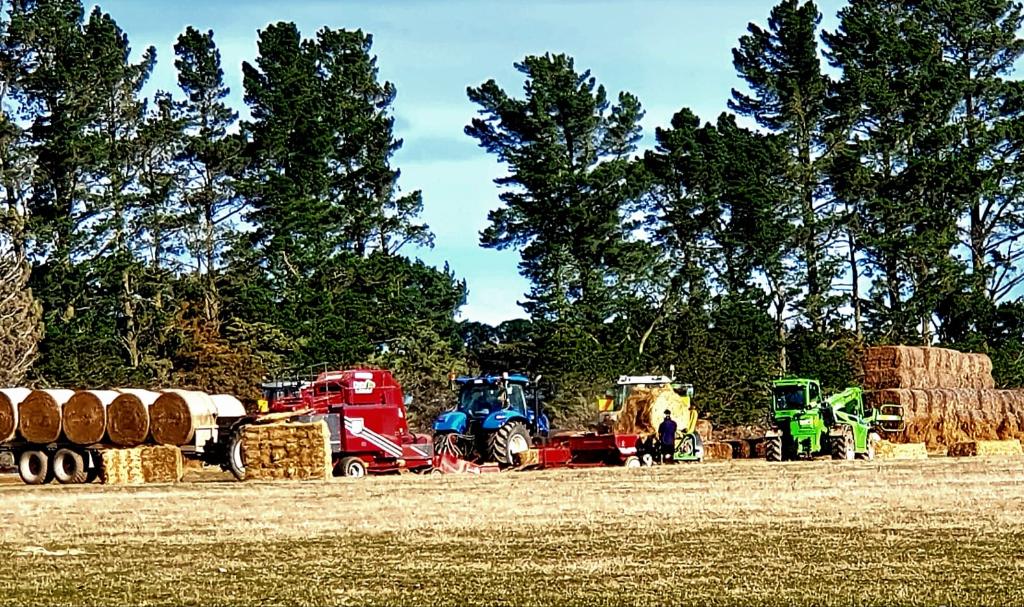 Ag Assist - Tractor driver/helper for new irrigation block