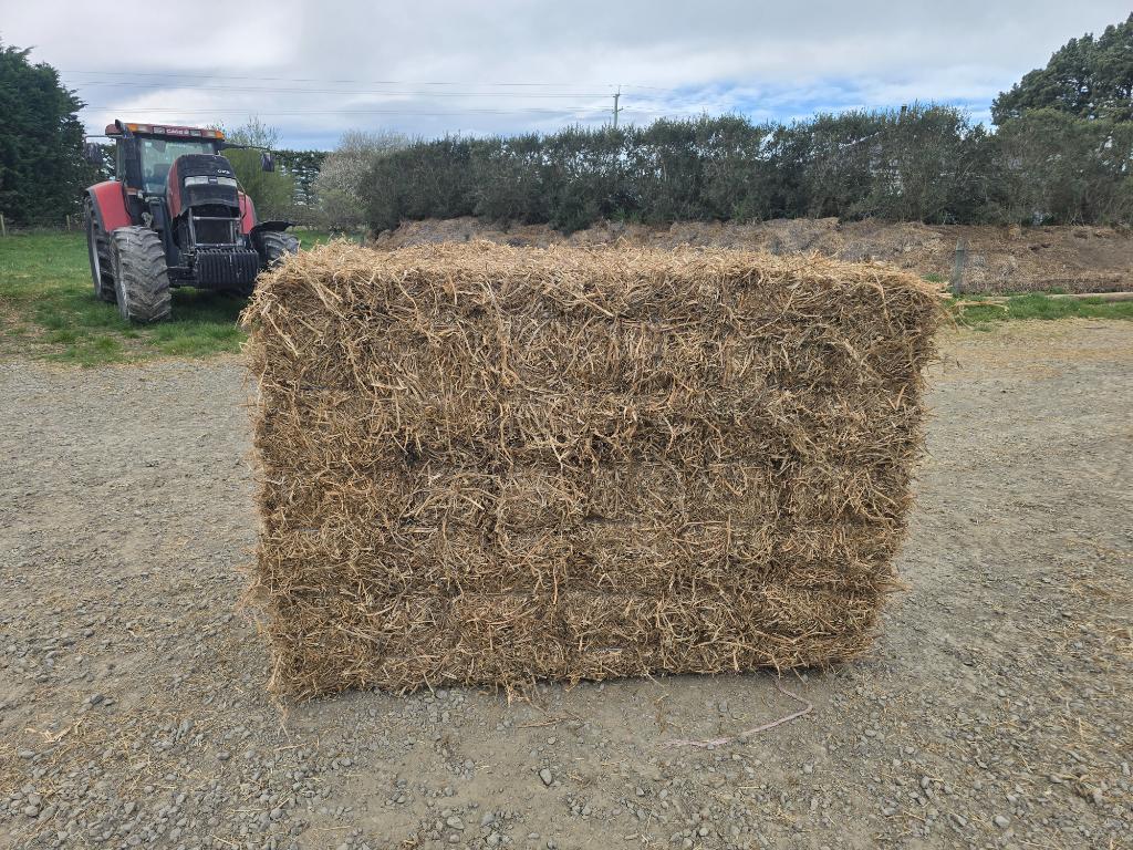 Ag Assist - Tractor driver/helper for new irrigation block