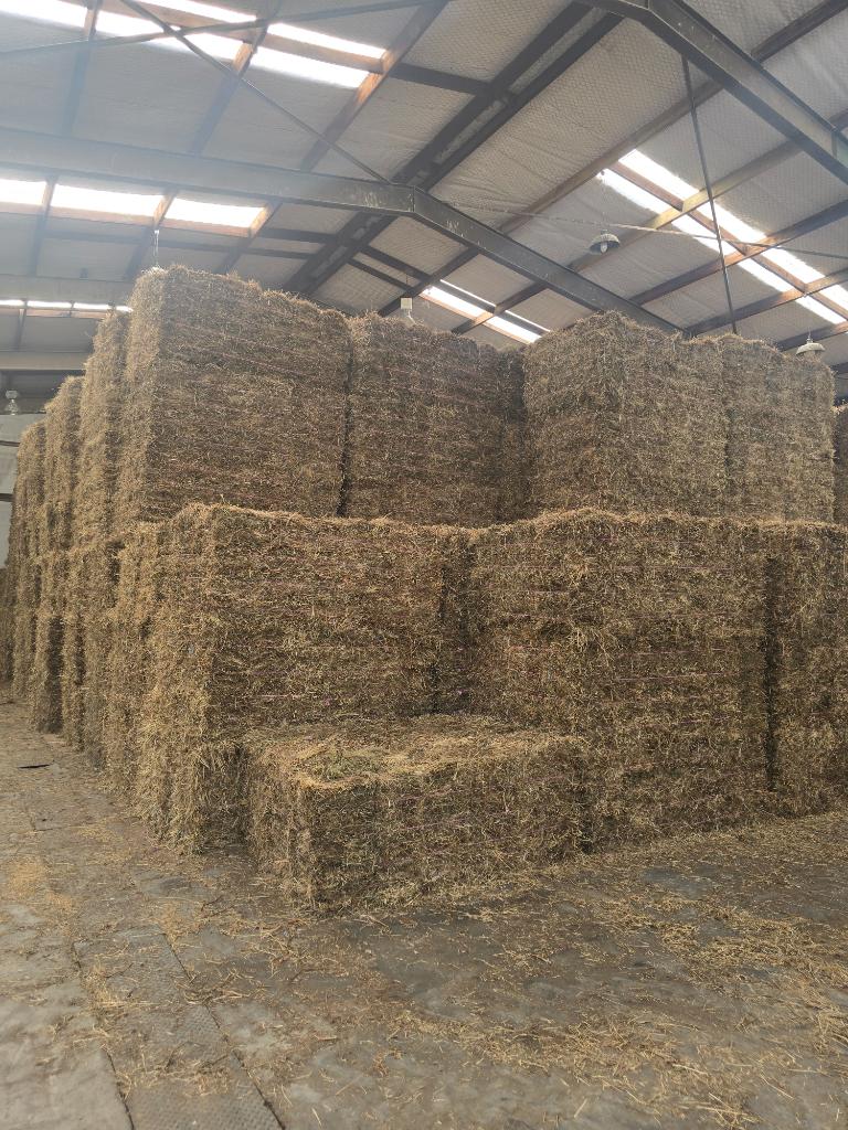 Ag Assist - Tractor driver/helper for new irrigation block