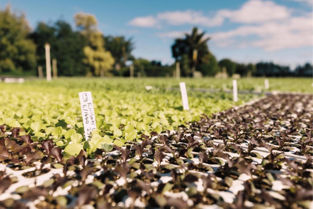 Ag Assist - AGRONOMIST