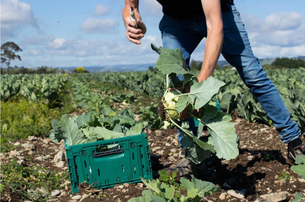 Ag Assist - AGRONOMIST