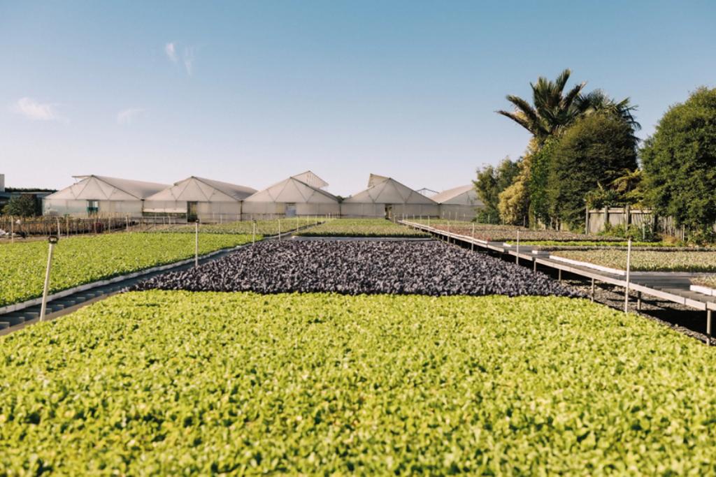 Ag Assist - AGRONOMIST