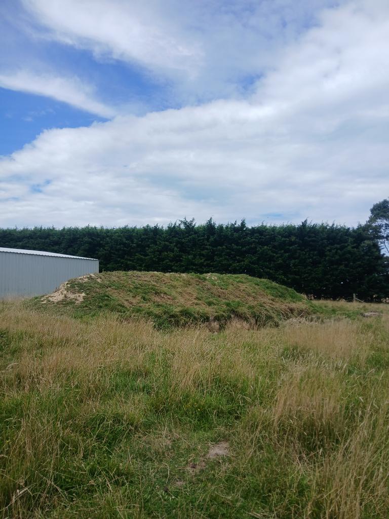 Ag Assist - Brush cutting service