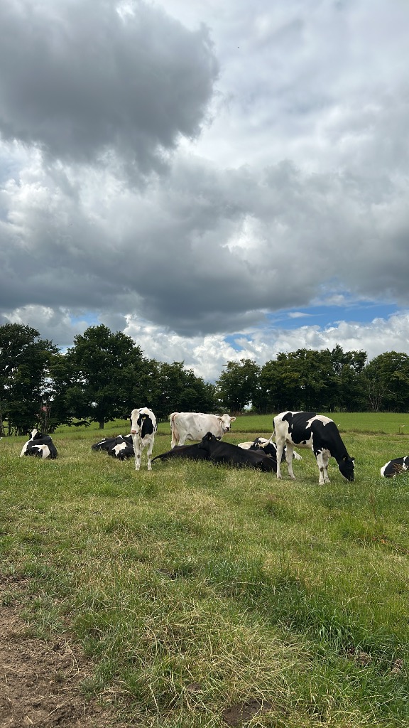 Ag Assist - Julia Gaidetzka