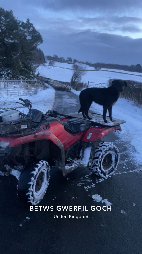 Ag Assist - Bedwyr Gruffydd