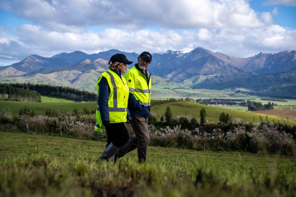 Ag Assist - Farm Assistants Wanted for Summer Placement at Mount Prospect Station, Te Anau
