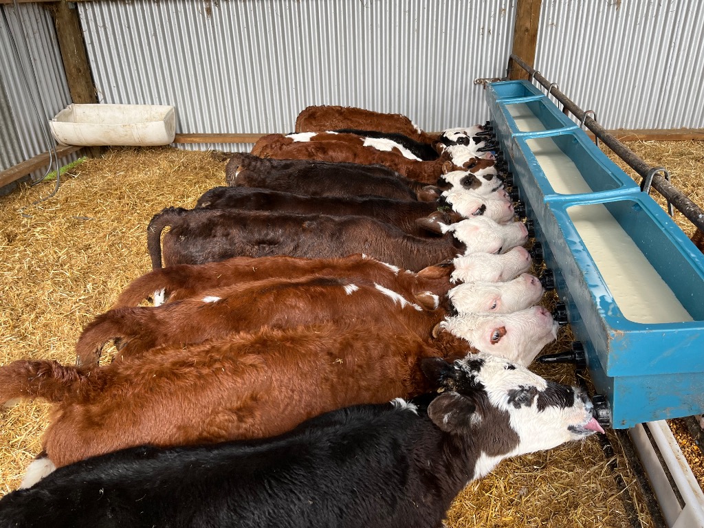 Ag Assist - Calf Rearer