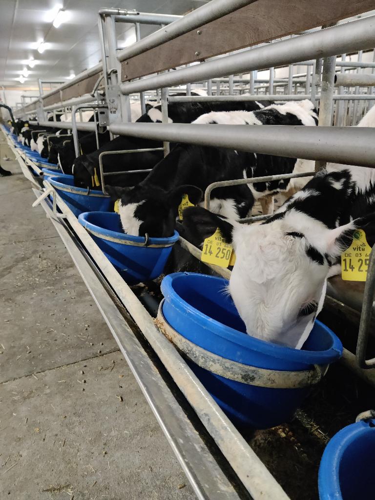 Ag Assist - Lieselotte Bockhorst