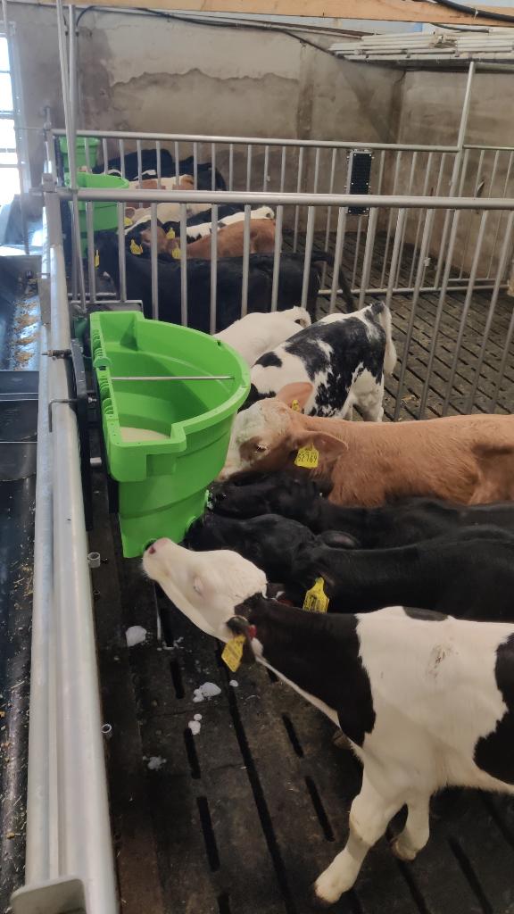 Lieselotte Bockhorst